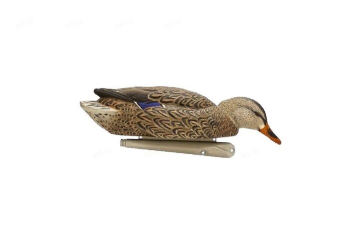 Avian-X Back Water Mallards - Bild 3