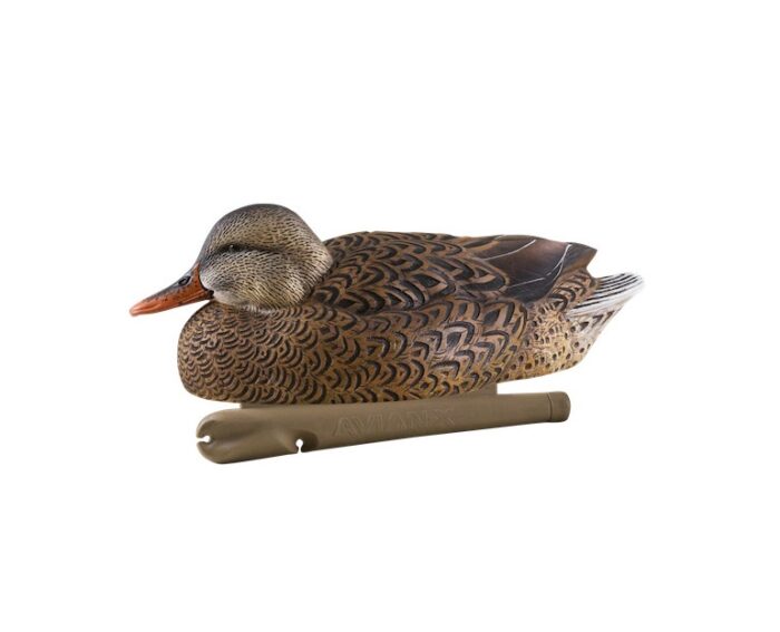 Avian-X Late Season Mallards - Bild 3